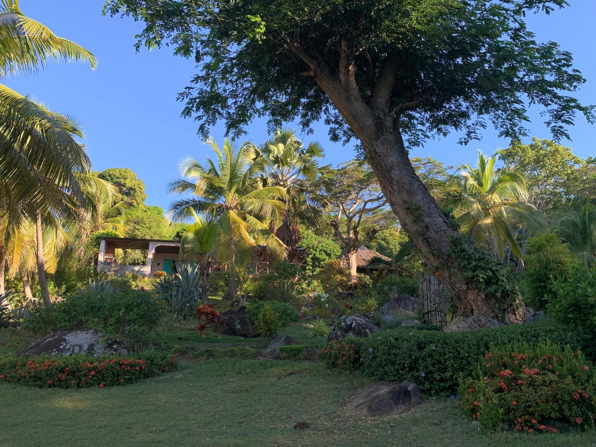 Andimaka Les Jardins D'Ankify B&B 외부 사진