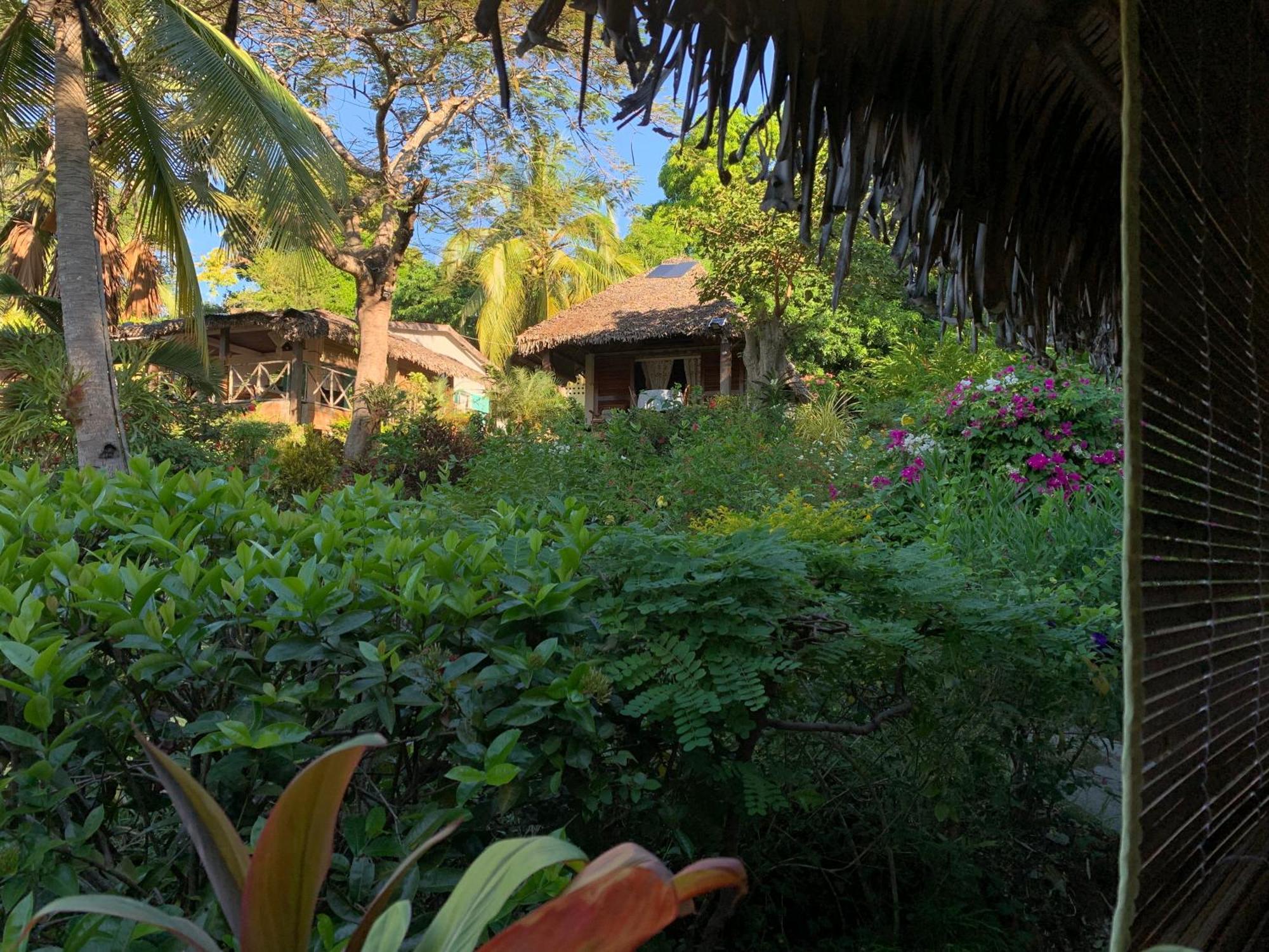 Andimaka Les Jardins D'Ankify B&B 외부 사진