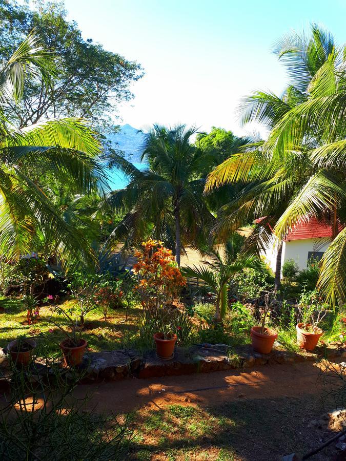 Andimaka Les Jardins D'Ankify B&B 외부 사진